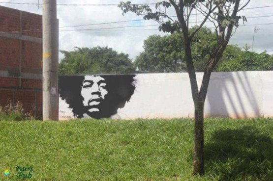 Jimi-Hendrix-hair-tree